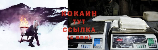 ПСИЛОЦИБИНОВЫЕ ГРИБЫ Магадан