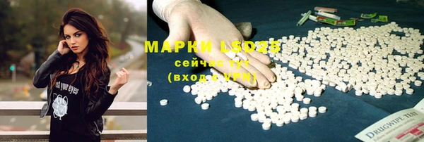 гашик Магас